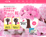 マジック桜